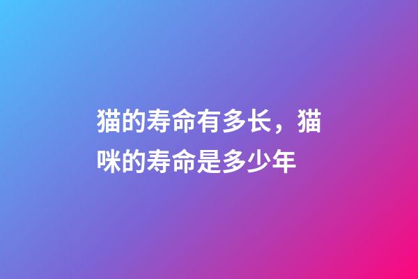 猫的寿命有多长，猫咪的寿命是多少年-第1张-观点-玄机派