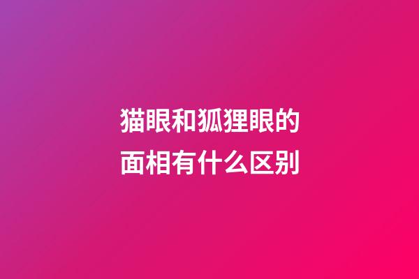 猫眼和狐狸眼的面相有什么区别