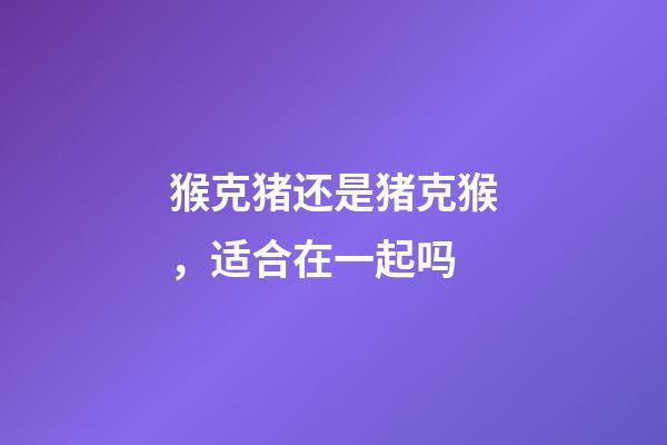 猴克猪还是猪克猴，适合在一起吗