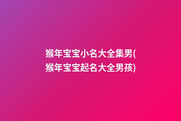 猴年宝宝小名大全集男(猴年宝宝起名大全男孩)