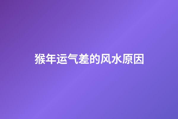 猴年运气差的风水原因