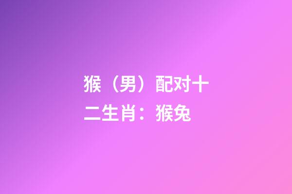 猴（男）配对十二生肖：猴+兔