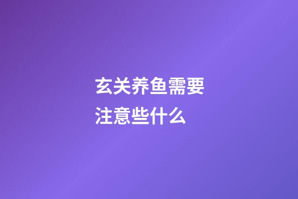 玄关养鱼需要注意些什么