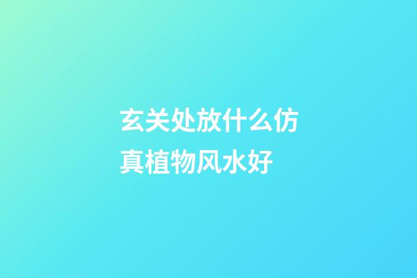 玄关处放什么仿真植物风水好