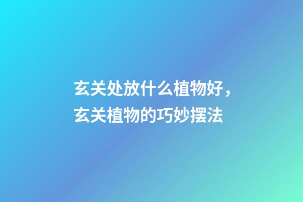 玄关处放什么植物好，玄关植物的巧妙摆法