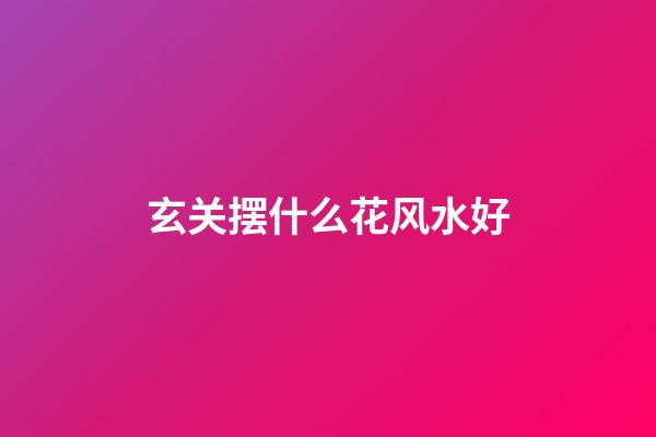 玄关摆什么花风水好