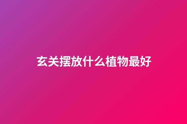 玄关摆放什么植物最好