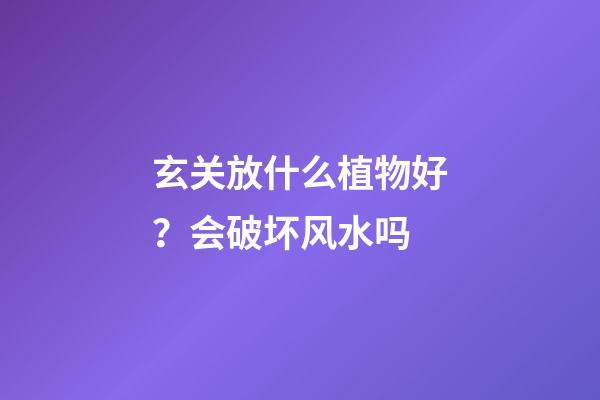 玄关放什么植物好？会破坏风水吗
