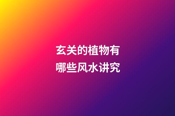 玄关的植物有哪些风水讲究