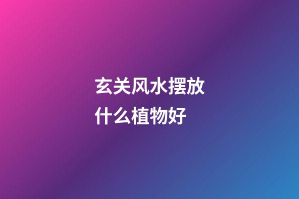 玄关风水摆放什么植物好