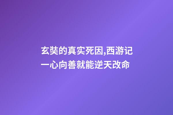 玄奘的真实死因,西游记一心向善就能逆天改命-第1张-观点-玄机派