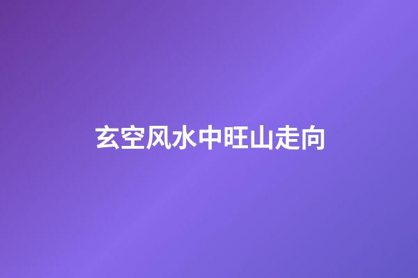 玄空风水中旺山走向