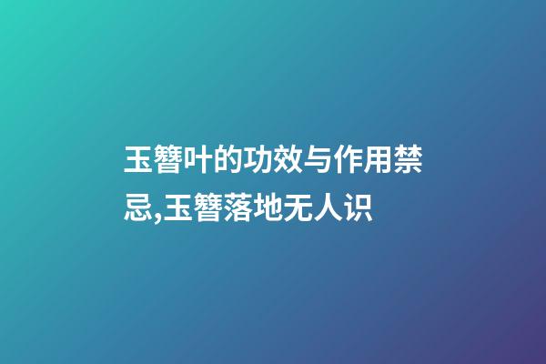 玉簪叶的功效与作用禁忌,玉簪落地无人识-第1张-观点-玄机派