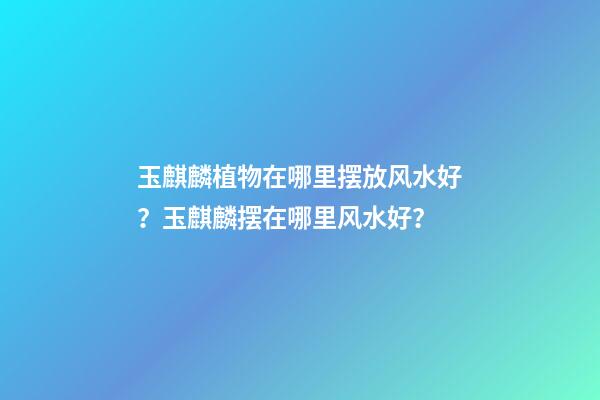 玉麒麟植物在哪里摆放风水好？玉麒麟摆在哪里风水好？