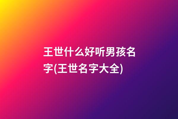 王世什么好听男孩名字(王世名字大全)