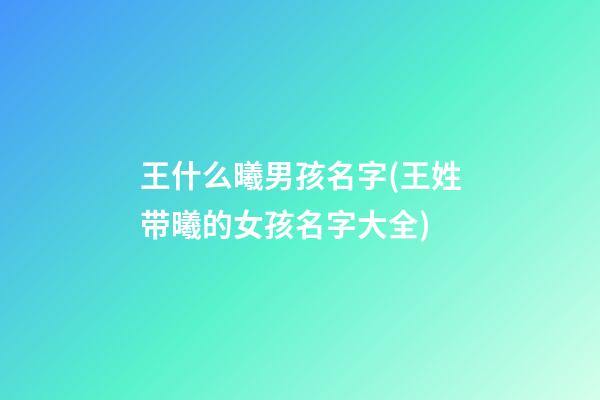 王什么曦男孩名字(王姓带曦的女孩名字大全)