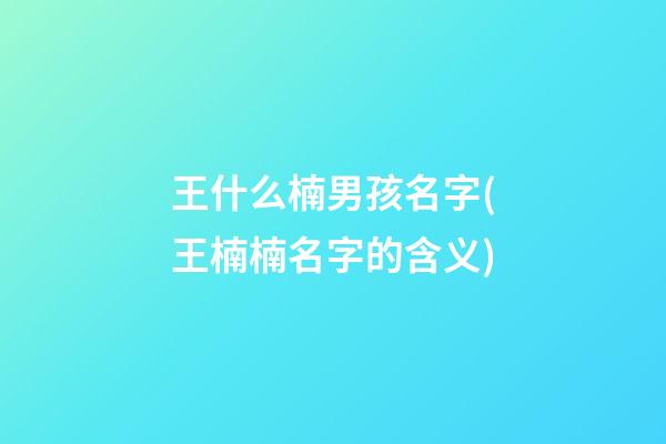 王什么楠男孩名字(王楠楠名字的含义)