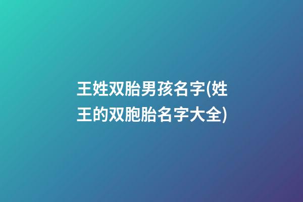 王姓双胎男孩名字(姓王的双胞胎名字大全)