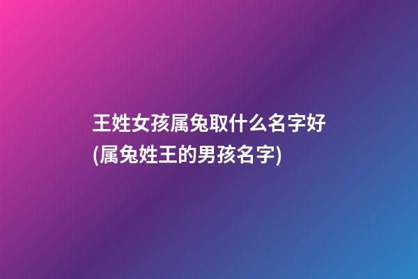 王姓女孩属兔取什么名字好(属兔姓王的男孩名字)