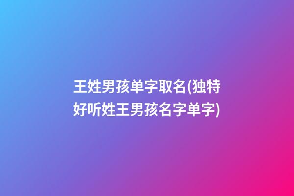 王姓男孩单字取名(独特好听姓王男孩名字单字)