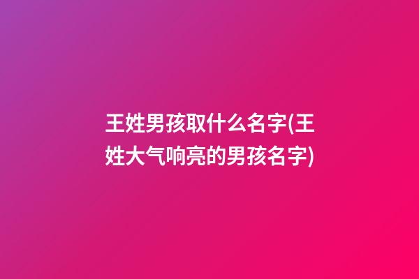 王姓男孩取什么名字(王姓大气响亮的男孩名字)