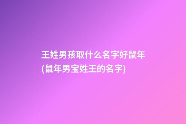王姓男孩取什么名字好鼠年(鼠年男宝姓王的名字)