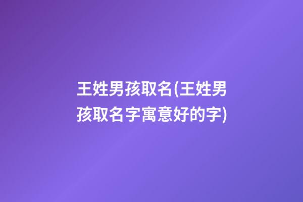 王姓男孩取名(王姓男孩取名字寓意好的字)