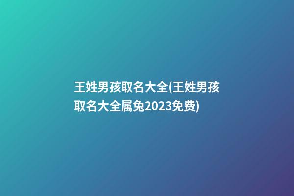 王姓男孩取名大全(王姓男孩取名大全属兔2023免费)