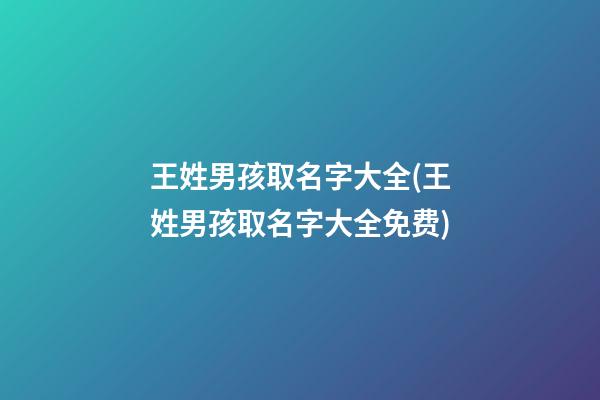 王姓男孩取名字大全(王姓男孩取名字大全免费)