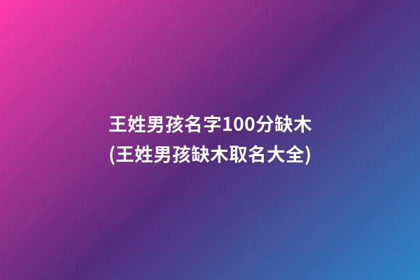 王姓男孩名字100分缺木(王姓男孩缺木取名大全)