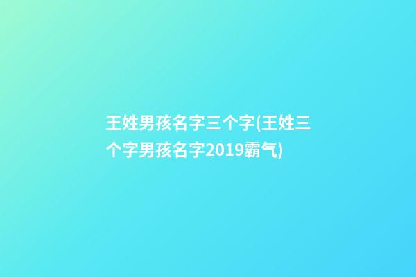 王姓男孩名字三个字(王姓三个字男孩名字2019霸气)