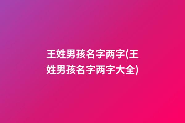 王姓男孩名字两字(王姓男孩名字两字大全)