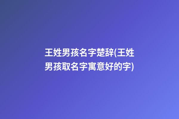 王姓男孩名字楚辞(王姓男孩取名字寓意好的字)