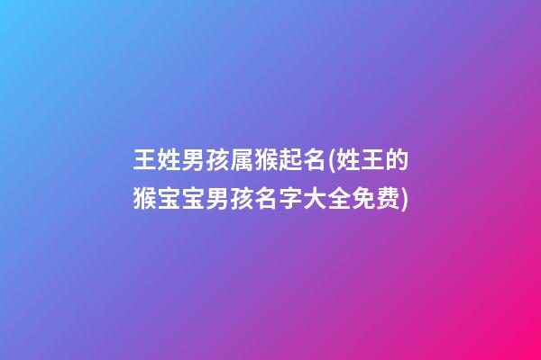 王姓男孩属猴起名(姓王的猴宝宝男孩名字大全免费)