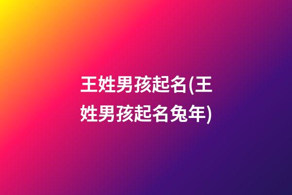 王姓男孩起名(王姓男孩起名兔年)