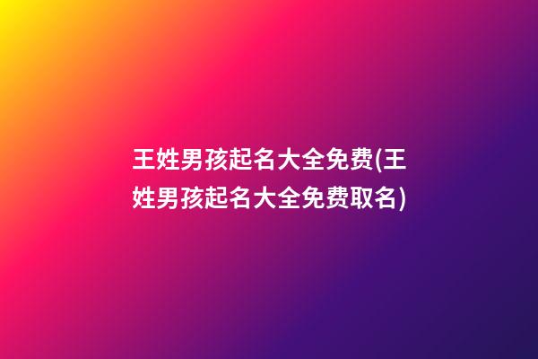 王姓男孩起名大全免费(王姓男孩起名大全免费取名)