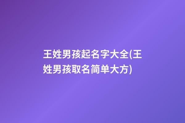 王姓男孩起名字大全(王姓男孩取名简单大方)