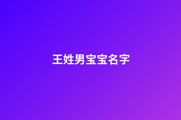 王姓男宝宝名字