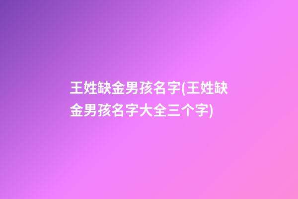 王姓缺金男孩名字(王姓缺金男孩名字大全三个字)