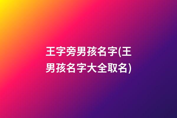 王字旁男孩名字(王男孩名字大全取名)