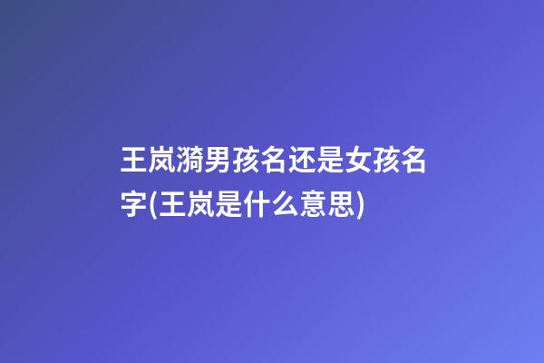 王岚漪男孩名还是女孩名字(王岚是什么意思)