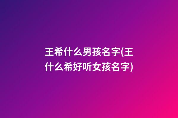 王希什么男孩名字(王什么希好听女孩名字)
