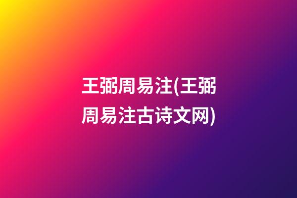 王弼周易注(王弼周易注古诗文网)