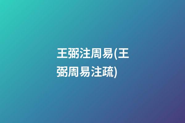 王弼注周易(王弼周易注疏)