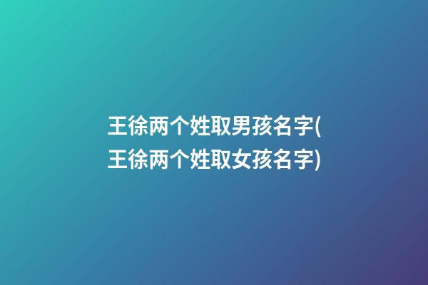 王徐两个姓取男孩名字(王徐两个姓取女孩名字)
