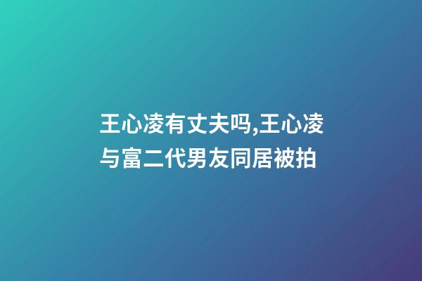 王心凌有丈夫吗,王心凌与富二代男友同居被拍-第1张-观点-玄机派