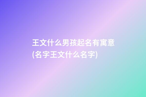 王文什么男孩起名有寓意(名字王文什么名字)