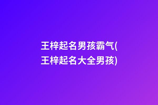 王梓起名男孩霸气(王梓起名大全男孩)