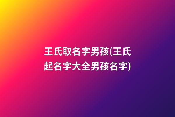 王氏取名字男孩(王氏起名字大全男孩名字)