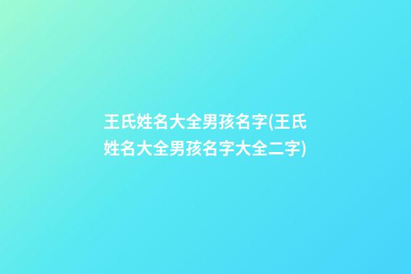 王氏姓名大全男孩名字(王氏姓名大全男孩名字大全二字)
